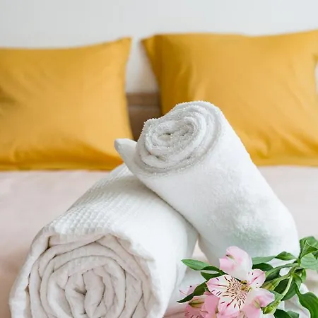 Apartment Cosy - Comme A La Maison - St Etienne